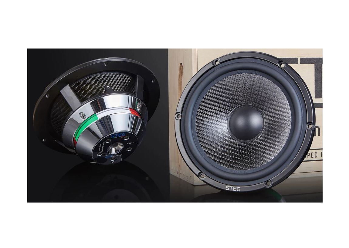 STEG MSS6 - Woofer di riferimento