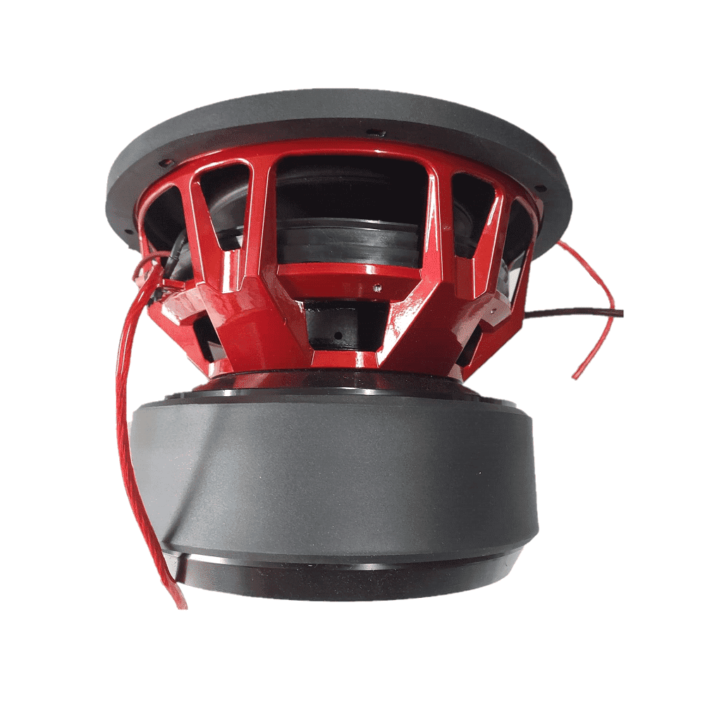Système audio ASX 12" (30cm) D2