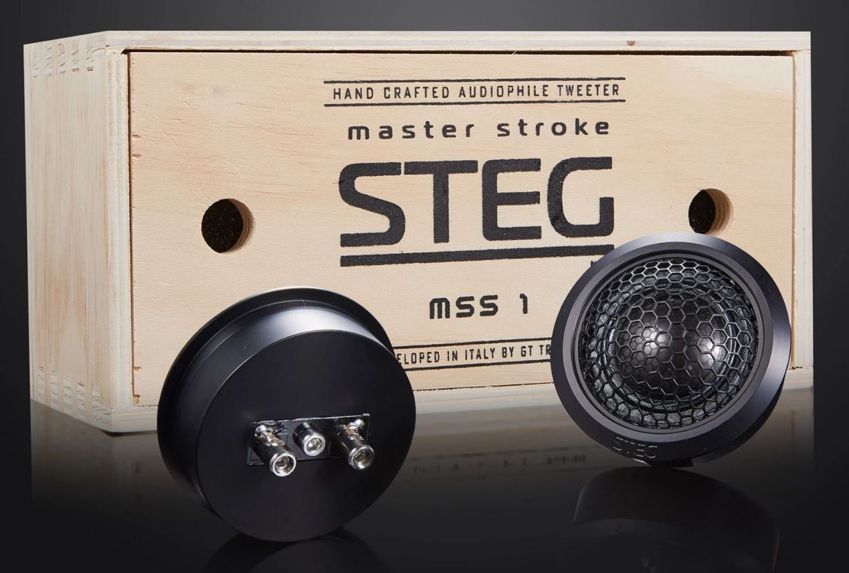 STEG MSS1 - Lautsprecher 25mm mit 30 Watt, Hochtöner für Car Hifi