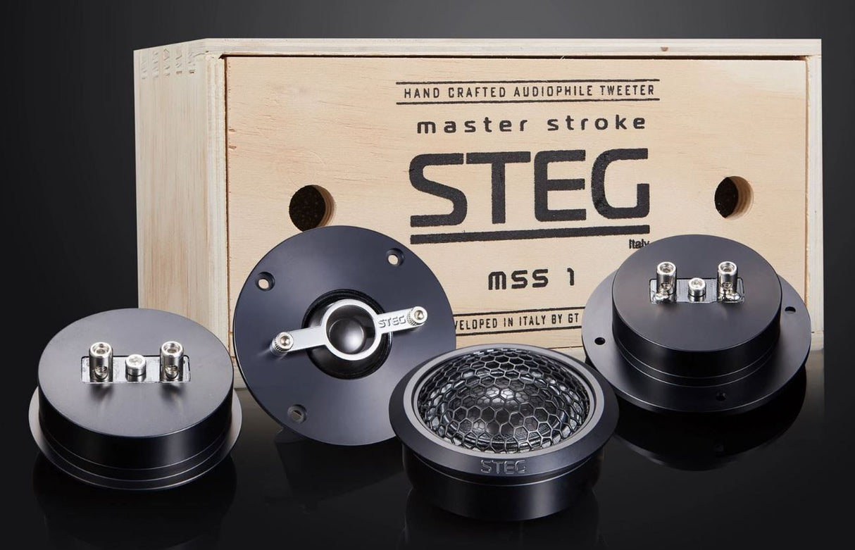 B-Ware STEG MSS1 - Reference Hochtöner