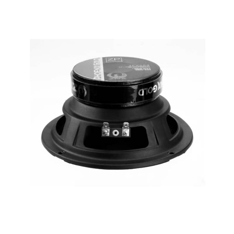 Phoenix Gold ZPX654 Pro