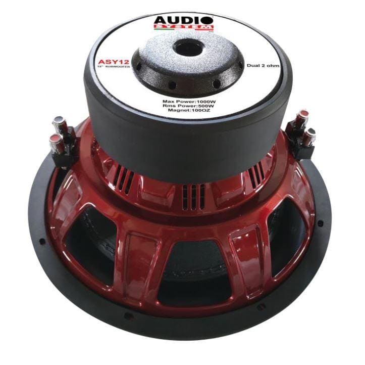 Système audio ASY 12" (30cm) D2