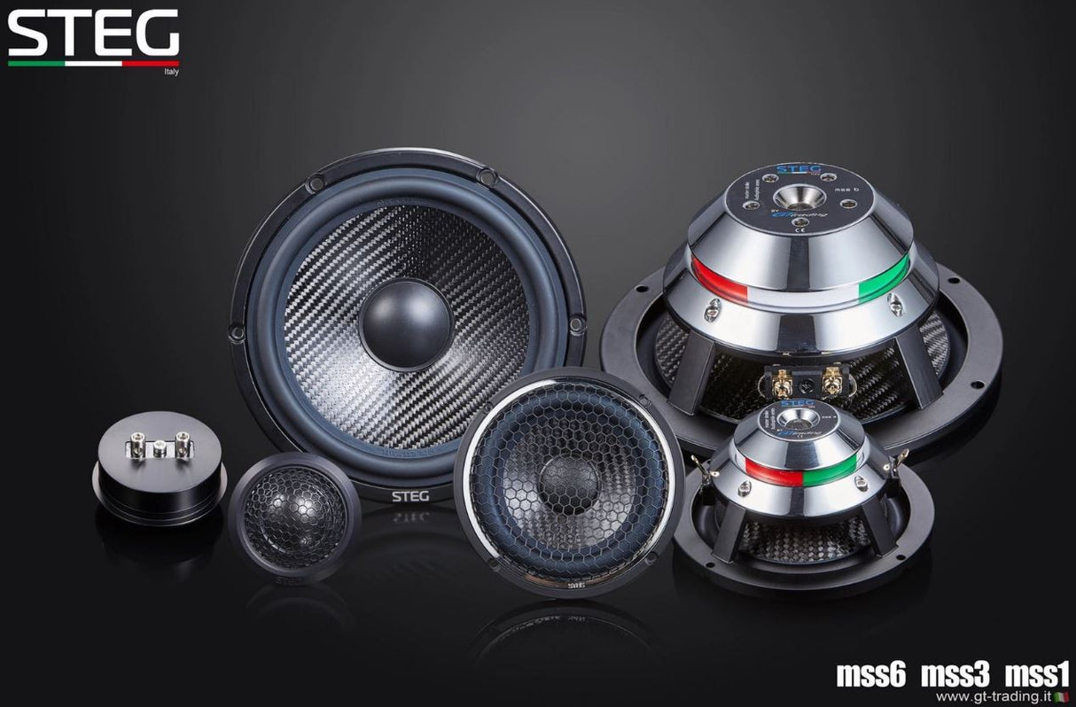 STEG MSS6 - Woofer di riferimento