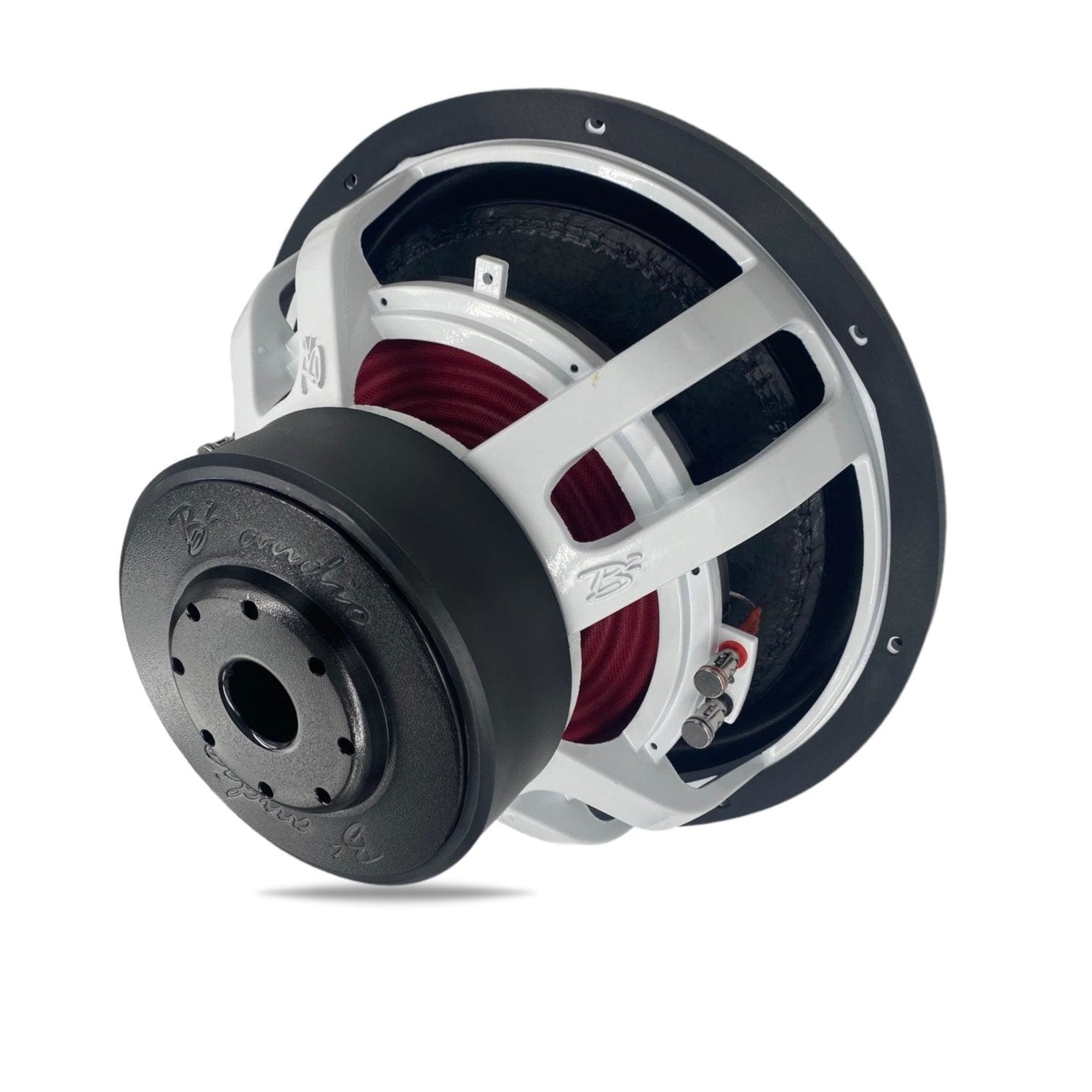 B2 Audio RIOT 15