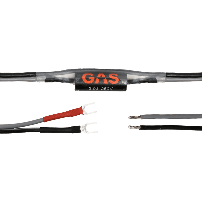 GAS Audio MAX PT2-384