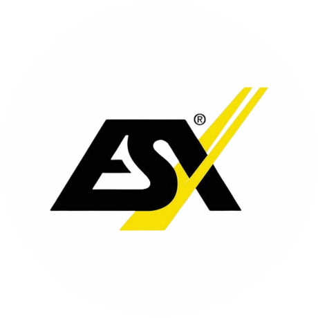 ESX Verstärker 