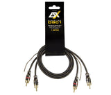 ESX DSC1