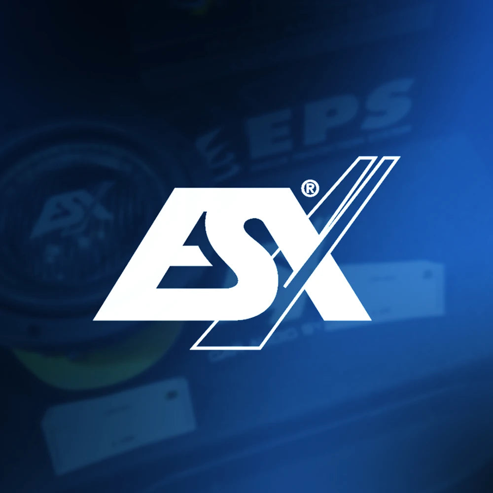 esx audio logo lautsprecher