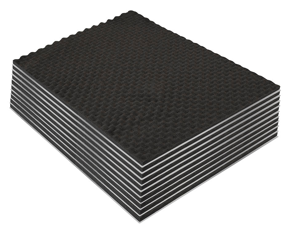 ESX QSC15 Schaumstoff
