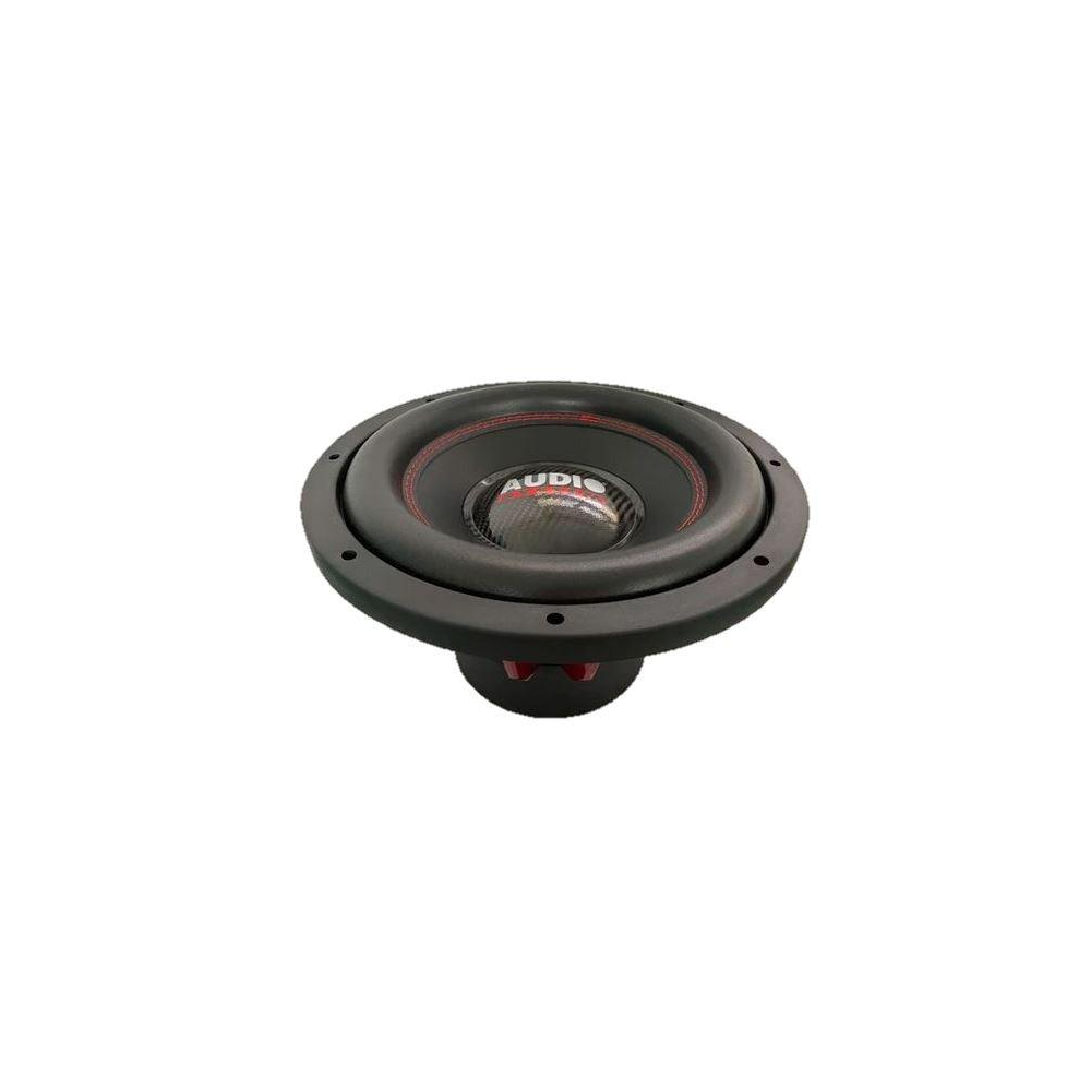 Sistema audio ASS 12" (30 cm) D2