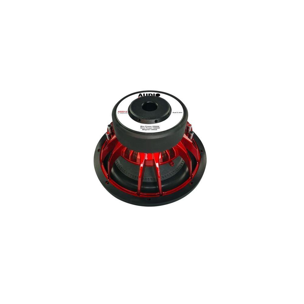 Sistema audio ASS 12" (30 cm) D2